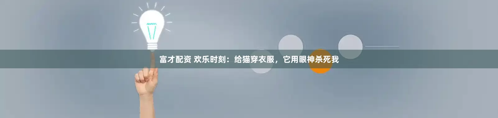 富才配资 欢乐时刻：给猫穿衣服，它用眼神杀死我